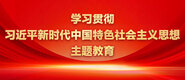 十根大黑屌操一屄学习贯彻习近平新时代中国特色社会主义思想主题教育_fororder_ad-371X160(2)